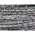 High quality galvanized barbed iron wire